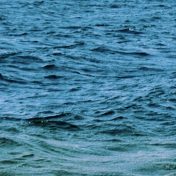 Ocean Blue Health Coaching